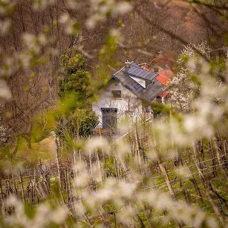 Meadow&vines With Hot Tub * Videm pri Ptuju